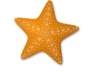 Captcha image 4809