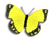 Captcha image 5828